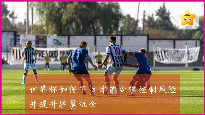 世界杯如何下注才能合理控制风险并提升胜算机会