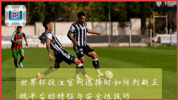 世界杯投注官网选择时如何判断正规平台的特征与安全性技巧