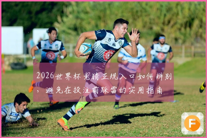 2026世界杯竞猜正规入口如何辨别，避免在投注前踩雷的实用指南