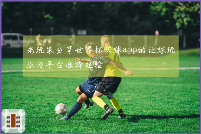 老玩家分享世界杯买球app的让球玩法与平台选择经验