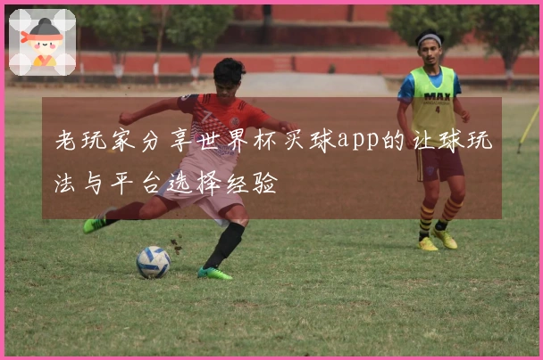 老玩家分享世界杯买球app的让球玩法与平台选择经验